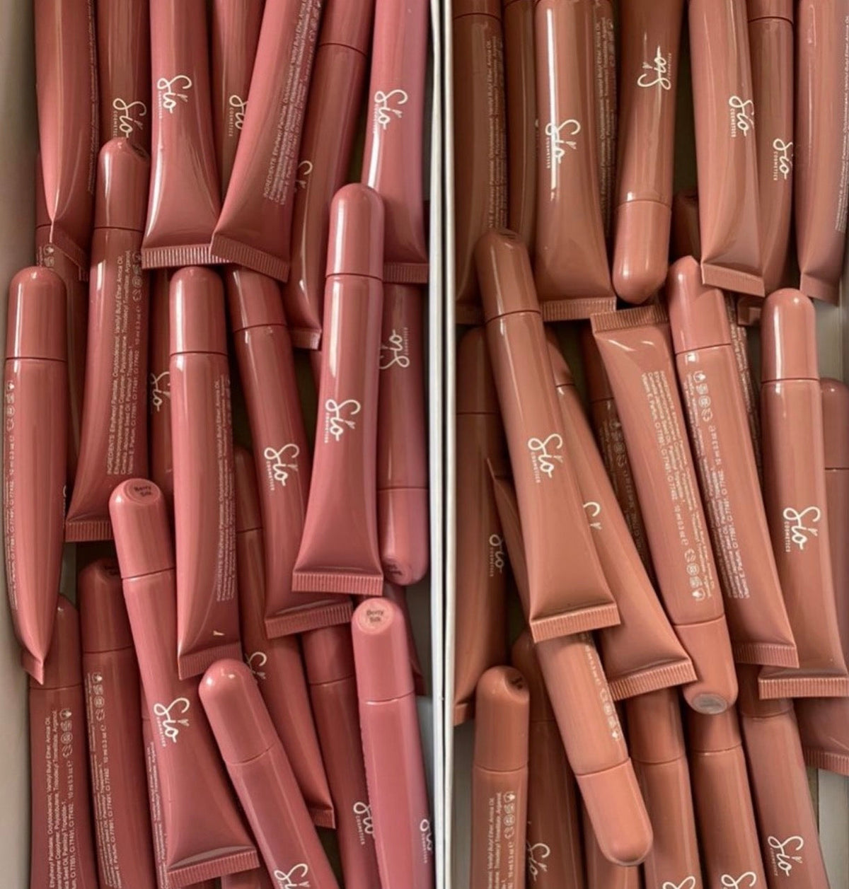 Glossed Peptides